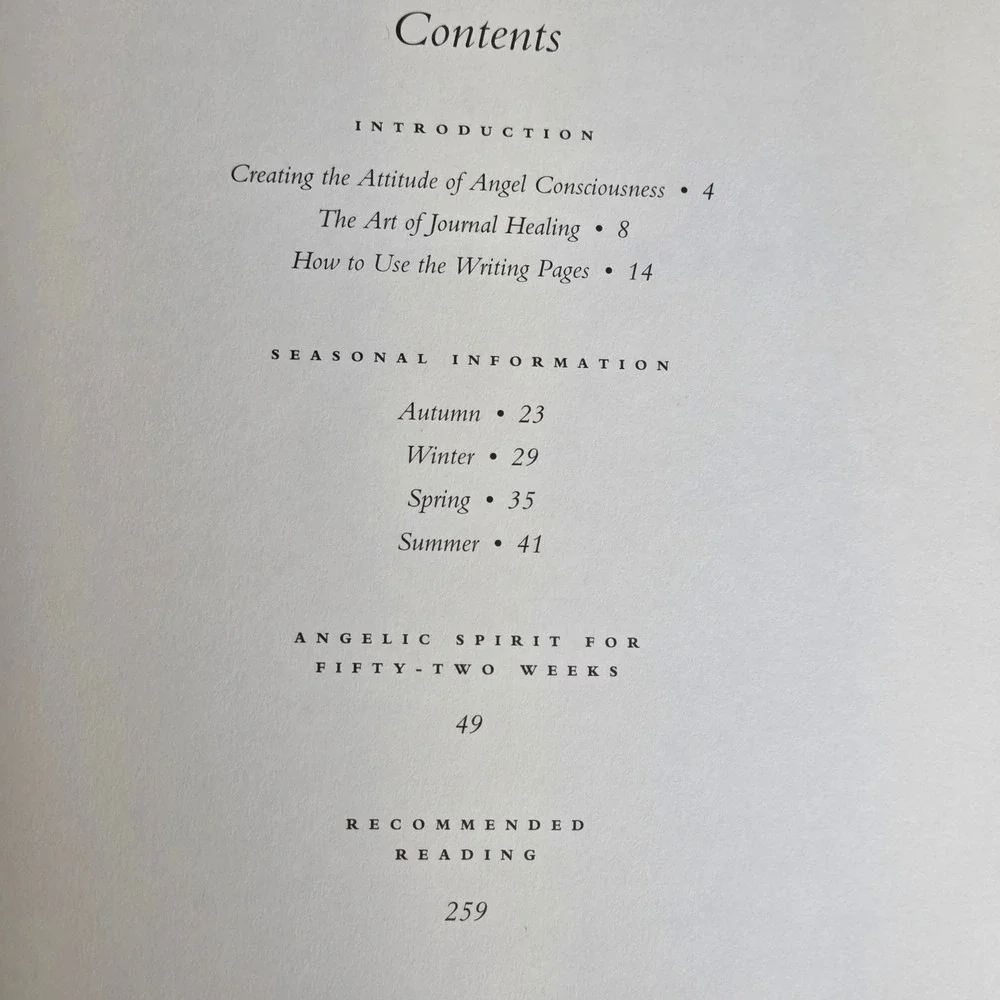 Angel Days A Journal and Daybook Terry Lynn Taylor 1st Ed 1995 Hardcover Angels